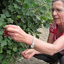 Het is volop zomer op “Lindehoeve” Het is volop zomer op “Lindehoeve”