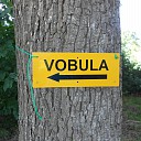 Vobula weer op Den Aalshorst neergestreken Vobula weer op Den Aalshorst neergestreken
