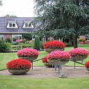 Prachtige tuin aan de Schoolstraat maar ook W I E T Prachtige tuin aan de Schoolstraat maar ook W I E T