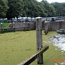 Recreatievissers in het nauw Recreatievissers in het nauw