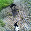 Het is weer zo ver Het is weer zo ver