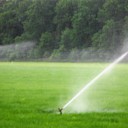 De natuur maar weer een handje helpen