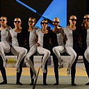 Majorettes Excelsior Dalfsen zoekt nieuwe trainster! Majorettes Excelsior Dalfsen zoekt nieuwe trainster!
