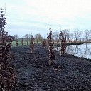 Werkgroep bosvrijwilligers op Den Berg Werkgroep bosvrijwilligers op Den Berg