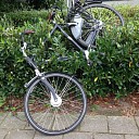 Getuigen gezocht Getuigen gezocht