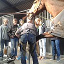 Roefeldag weer een groot succes!