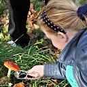 Speuren naar paddenstoelen Speuren naar paddenstoelen
