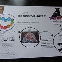 Doppen sparen en niet stoppen Doppen sparen en niet stoppen