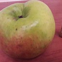 Vervolg REUZE BRAMLEY appel Vervolg REUZE BRAMLEY appel