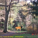Bij huize Den Berg Bij huize Den Berg
