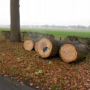 Onderhoud groen buitengebied
