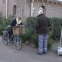 Kerstboomverkoop bij R.K. Kerk Dalfsen Kerstboomverkoop bij R.K. Kerk Dalfsen