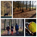 Genieten op landgoed De Horte Genieten op landgoed De Horte