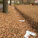 Dalfser krant Dalfser krant