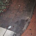 Kapot gegooide flessen Kapot gegooide flessen