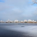 Winter plaatjes rondom Dalfsen Winter plaatjes rondom Dalfsen