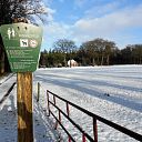 Op straat een zooi: maar de bossen super mooi