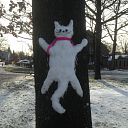 Sneeuwkat Sneeuwkat