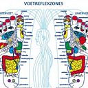 Workshop Voetreflexologie door Els Lode Workshop Voetreflexologie door Els Lode