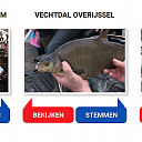 Vechtdal promoten: doen! Vechtdal promoten: doen!