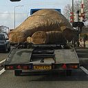 Mammoet op de weg Mammoet op de weg