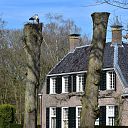 Op en top lente in de tuin bij De Leemcule Dalfsen Op en top lente in de tuin bij De Leemcule Dalfsen