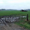 Bouw van het paasvuur in Hoonhorst