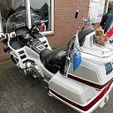 Gold Wing Gold Wing