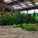 De gezelligste tuinbeurs in de regio komt er aan De gezelligste tuinbeurs in de regio komt er aan