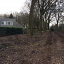 Speelse natuur wijkt voor aangelegd pad Speelse natuur wijkt voor aangelegd pad