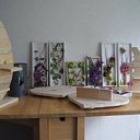 Naast ansichtkaarten nu ook cadeau-artikelen voor Samenloop voor Hoop Naast ansichtkaarten nu ook cadeau-artikelen voor Samenloop voor Hoop