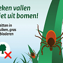 Week van de teek