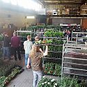 Bloemen Scouting worden dit weekend afgeleverd Bloemen Scouting worden dit weekend afgeleverd