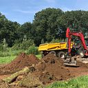 Provincie verhuist kievitsbloemen