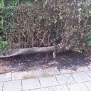 Woningbrand mogelijk voorkomen Woningbrand mogelijk voorkomen