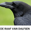 Tamme Raaf van Dalfsen Tamme Raaf van Dalfsen