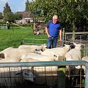 Jaarlijks onderhoud schapen Jaarlijks onderhoud schapen
