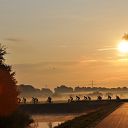 Toerclub Dalfsen fietst naar Bremen