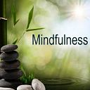 Cursus ‘Kennismaken met Mindfulness’ in Dalfsen