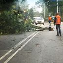 Grote tak door wind op Rondweg