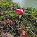 Herfst Herfst