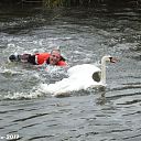 Brandweer Lemelerveld op zwanenjacht.