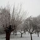 Ingezonden sneeuwfoto’s