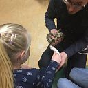 Reptielen  bij BSO Doomijn