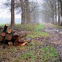Groot onderhoud Bergerallee
