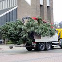 Prachtige Kerstboom staat inmiddels in Hoonhorst