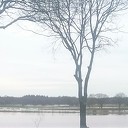 De poel zet de boel onder water