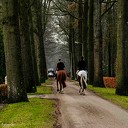 Slipjacht in Vilsteren Slipjacht in Vilsteren