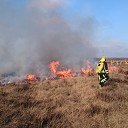 Landschap Overijssel:de brand er in