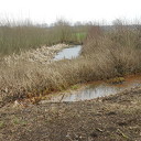 Zo maar even een beetje natuur Zo maar even een beetje natuur